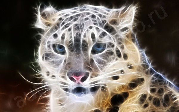 Дина Замалтынова