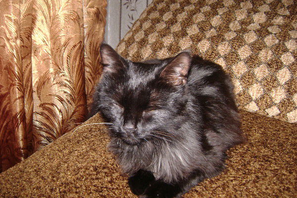 Катя Крупина