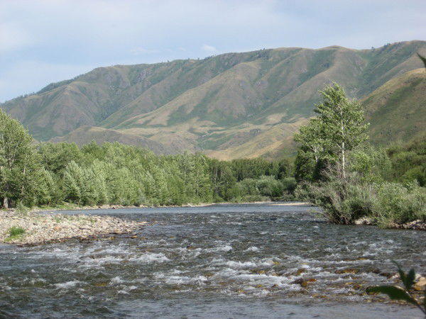 Неизвестно Неизвестно