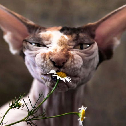 Татьяна Усова