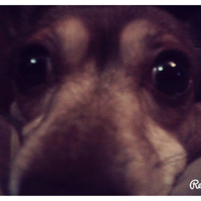 Гриша Беляев