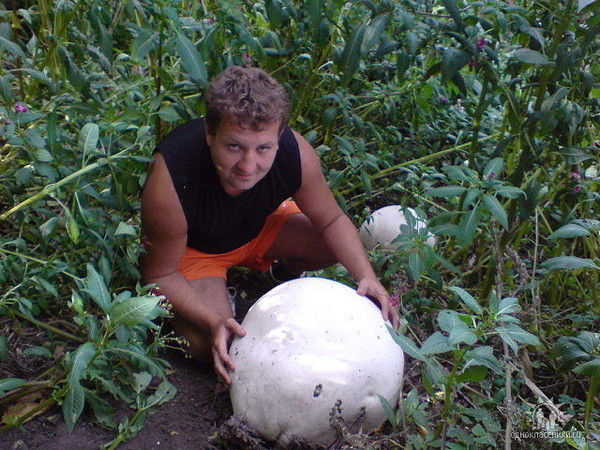 Виктор Шаронов