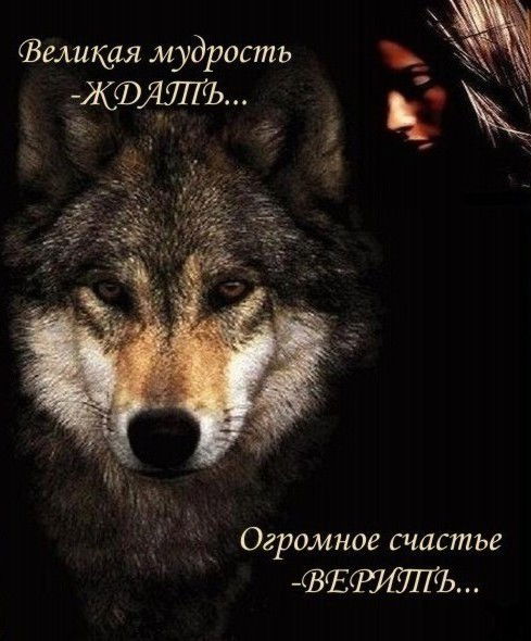 Константин Волков