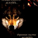 Константин Волков