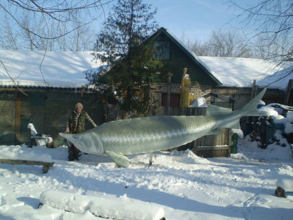 Александр Салов
