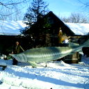 Александр Салов