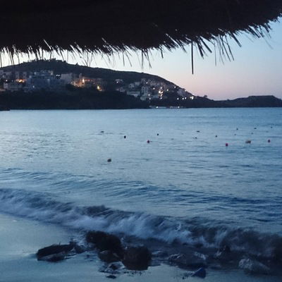 Денис Бахтияров