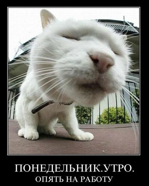 Андрей Пинкин