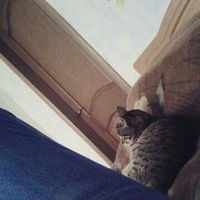 Светлана Николаевна