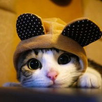 Ангелинка Болобкова