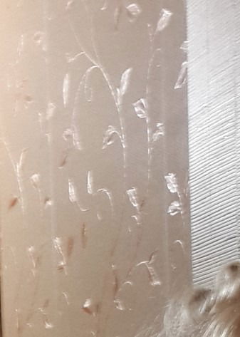 Ната Рязанова