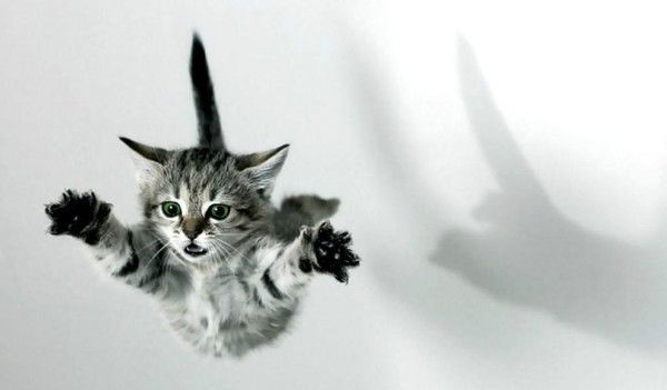 Борис Пятецкий