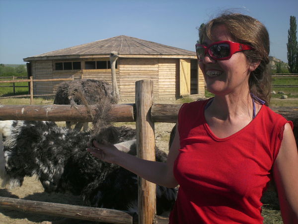 Элла Бородина