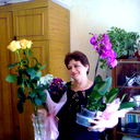 Светлана Шолудешева