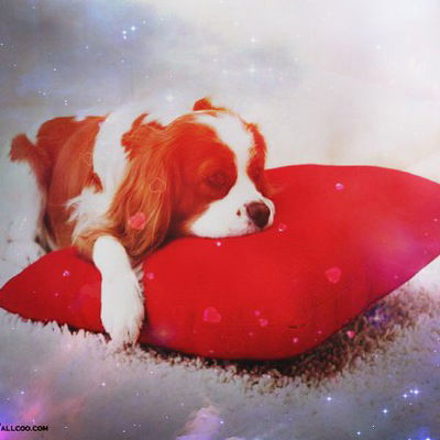 Вера Лобанова