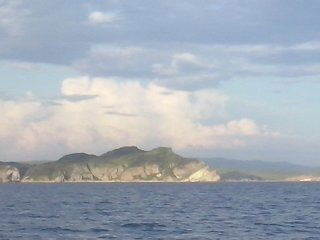 Альбина Захарова