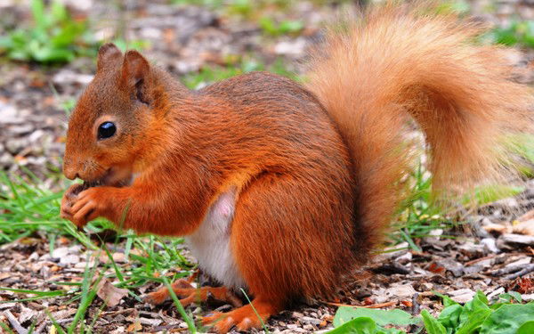 Татьяна Южанина