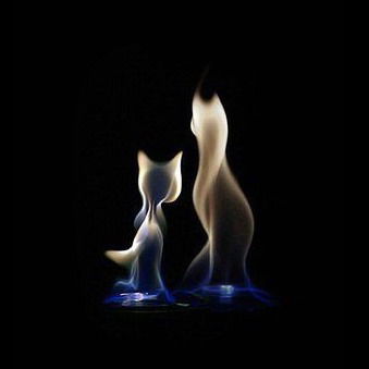 Анастасия Чистобаева