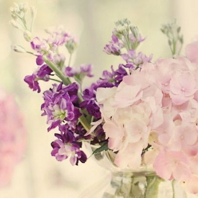 Светлана Сергеева