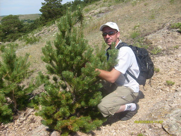 Максим Касаткин