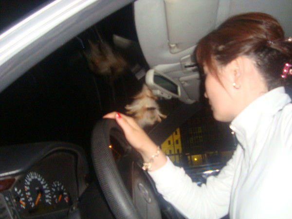 Азат И Айгерим =))