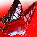 Елена Сурадиева