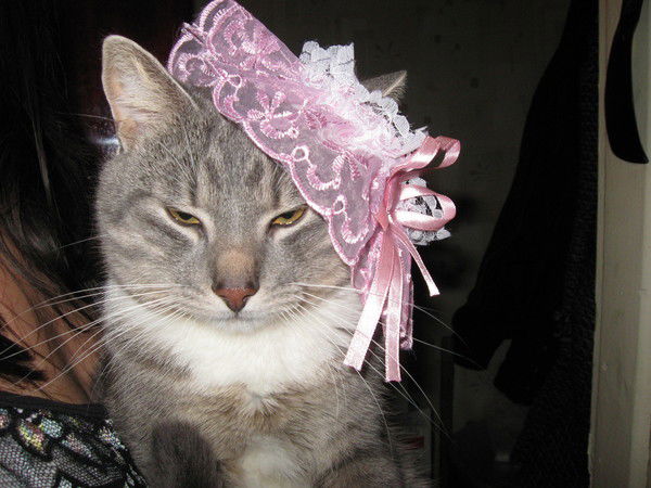 ????????????????? ?????????????????