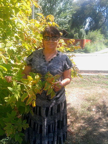 Надежда Васина