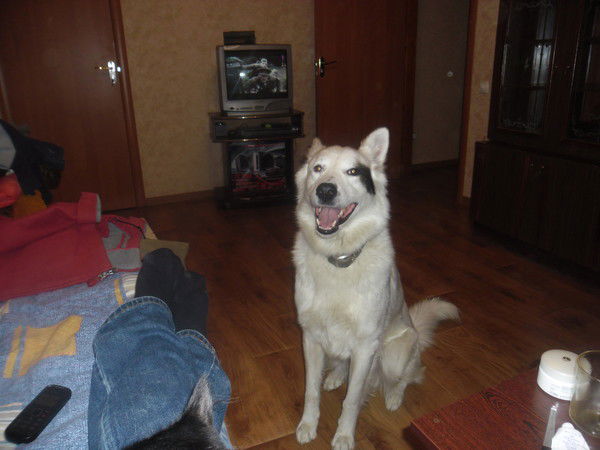 Наталья Солнышкова