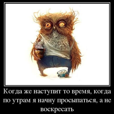 Игорь Исаев