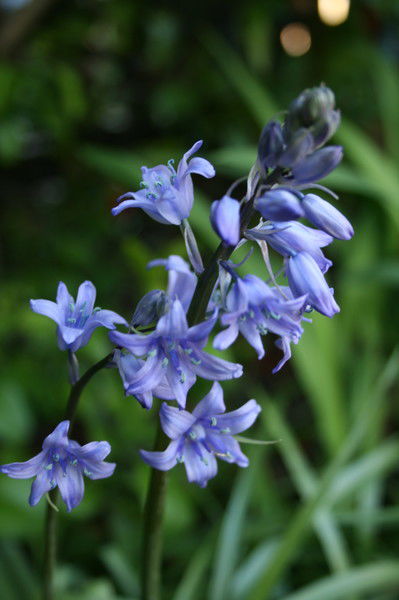 Светлана Чернышёва