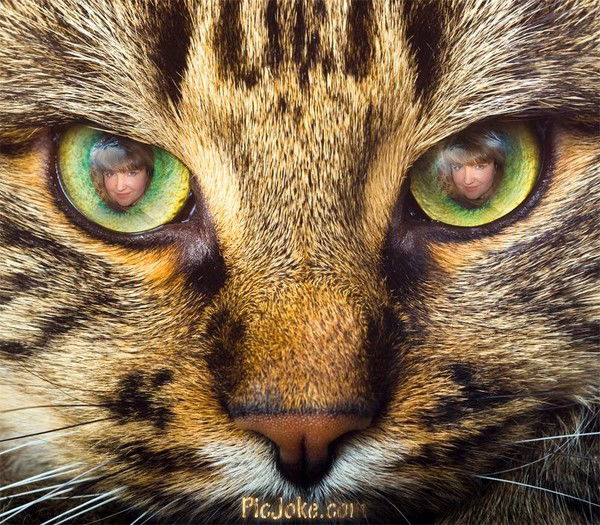 Светлана Шилкина