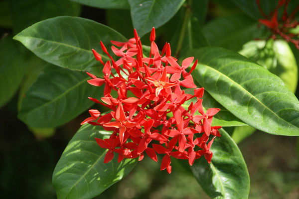 Татьяна Tatiana