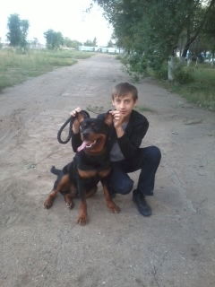 Константин Голованов