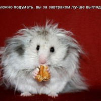 Ленчик Кругликова