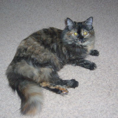 Артем Горбунов