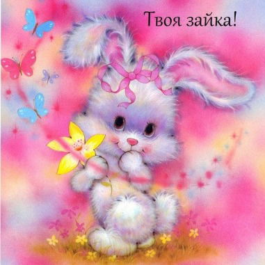 Айко Аяпова