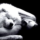 Саша Иванов