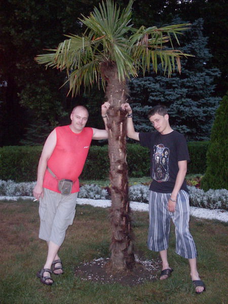 Алекс Дёмкин