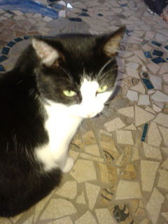 Игорь Корольков