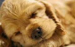 Екатерина Терешкова