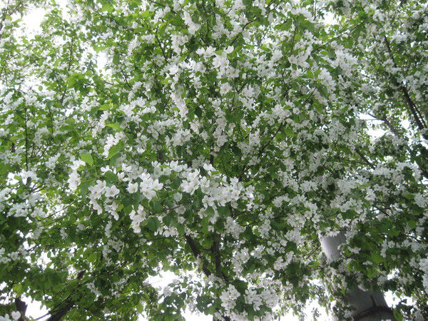 Гульмира ,,,