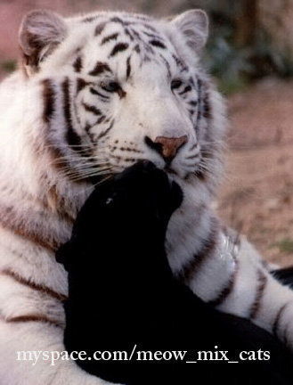 Оля Полунина