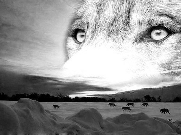 Бахадур Нагиев