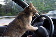 Сергей Соловьёв