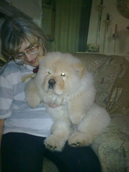 Светлана Внуковская