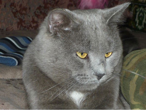 Юра Жанкевич