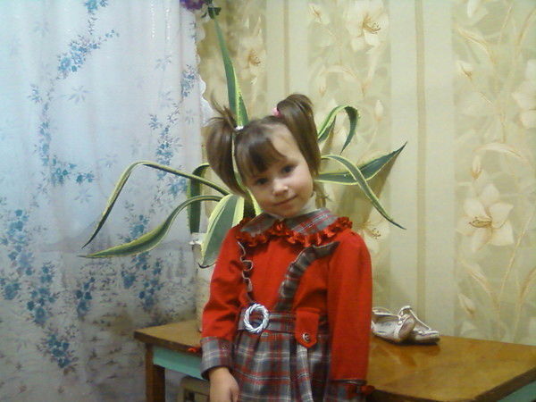 Дана Укратитель