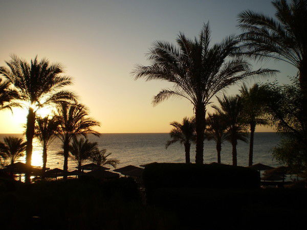 Татьяна Калмазан