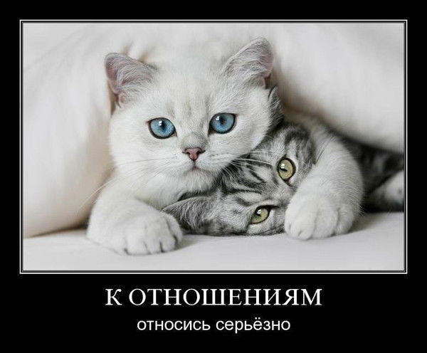 Ольга Пирогова